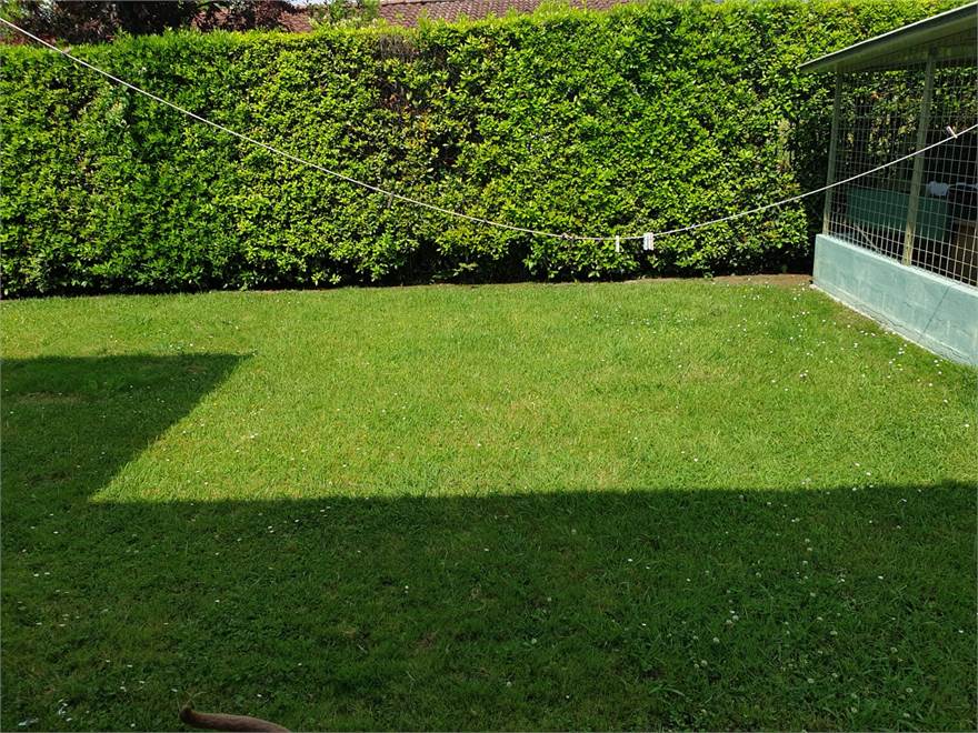giardino