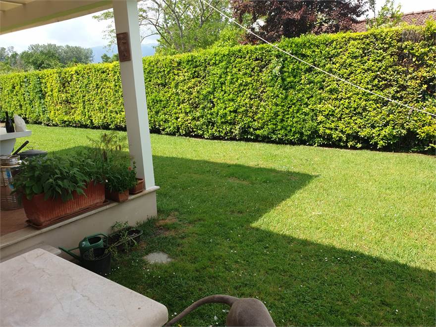 giardino