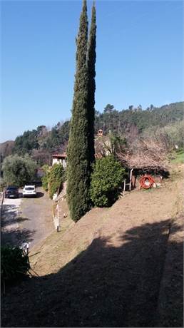 terreno