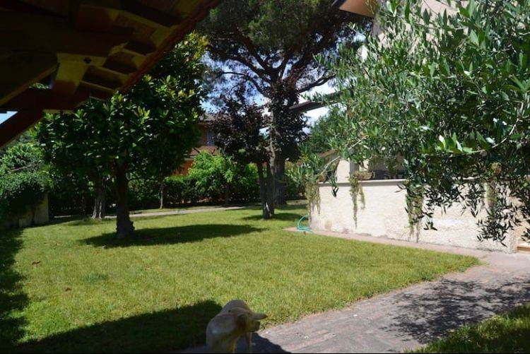 giardino