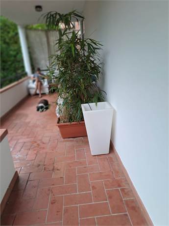 veranda