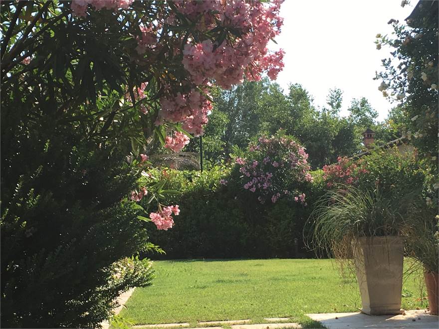 giardino