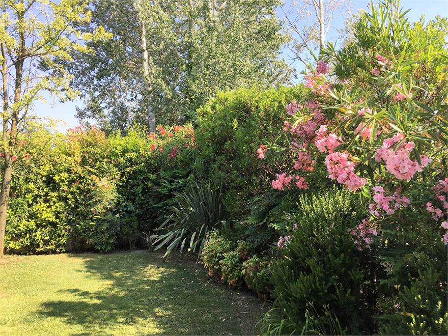 giardino