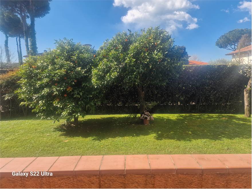 giardino