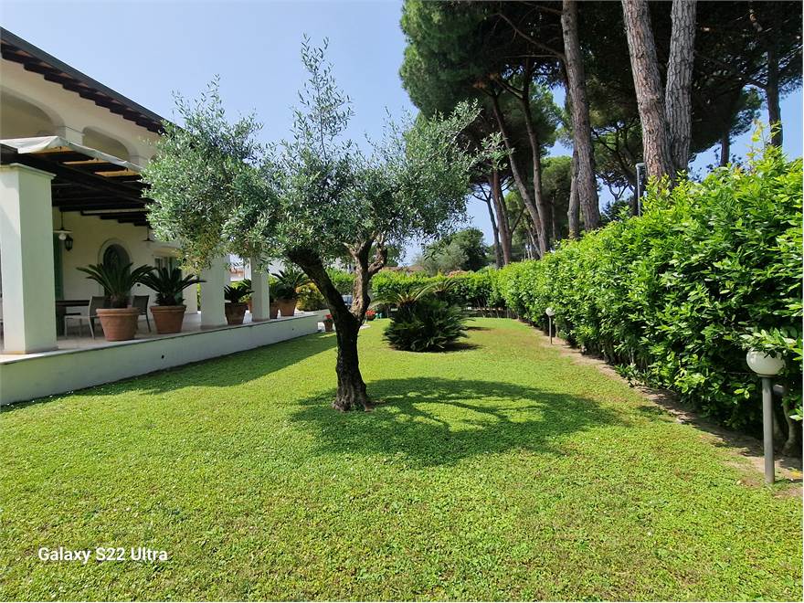giardino
