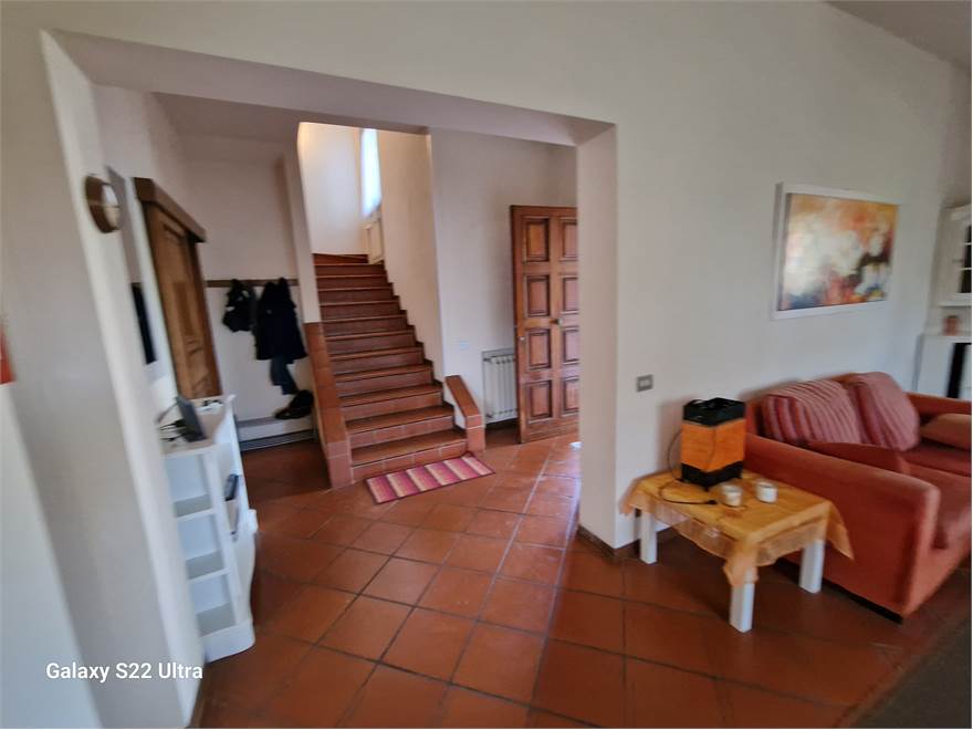 salone