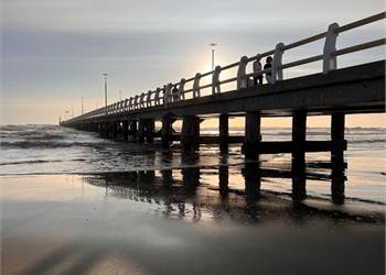 Querceta bifamiliare ristrutturata con giardino