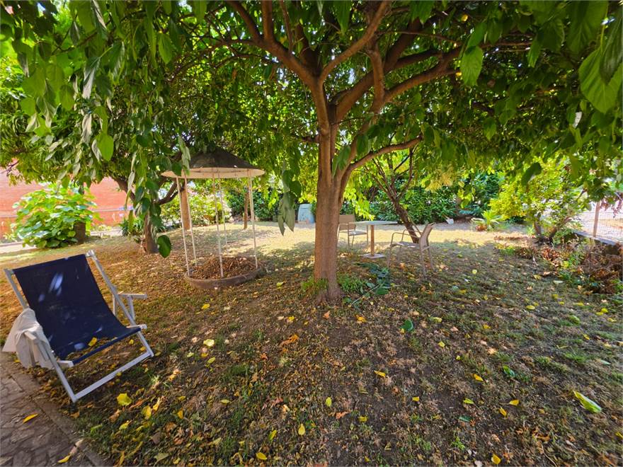 giardino